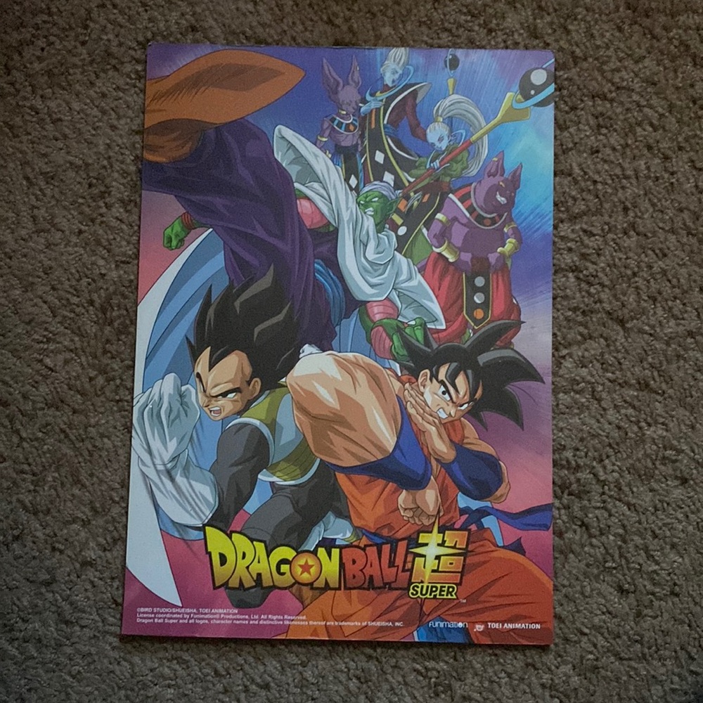 Dragon ball z wall decor